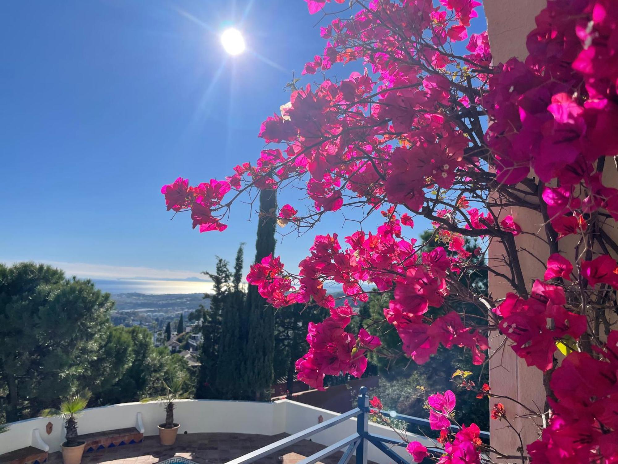 Boutique Maravilla - Marbella