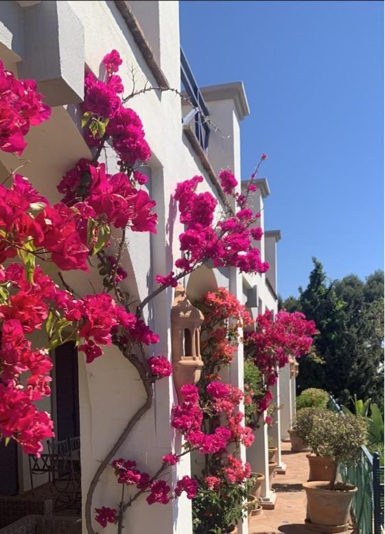 Boutique Maravilla - Marbella Bed & Breakfast *