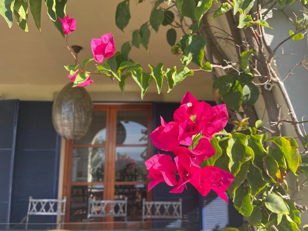 Bed & Breakfast Boutique Maravilla - Marbella *