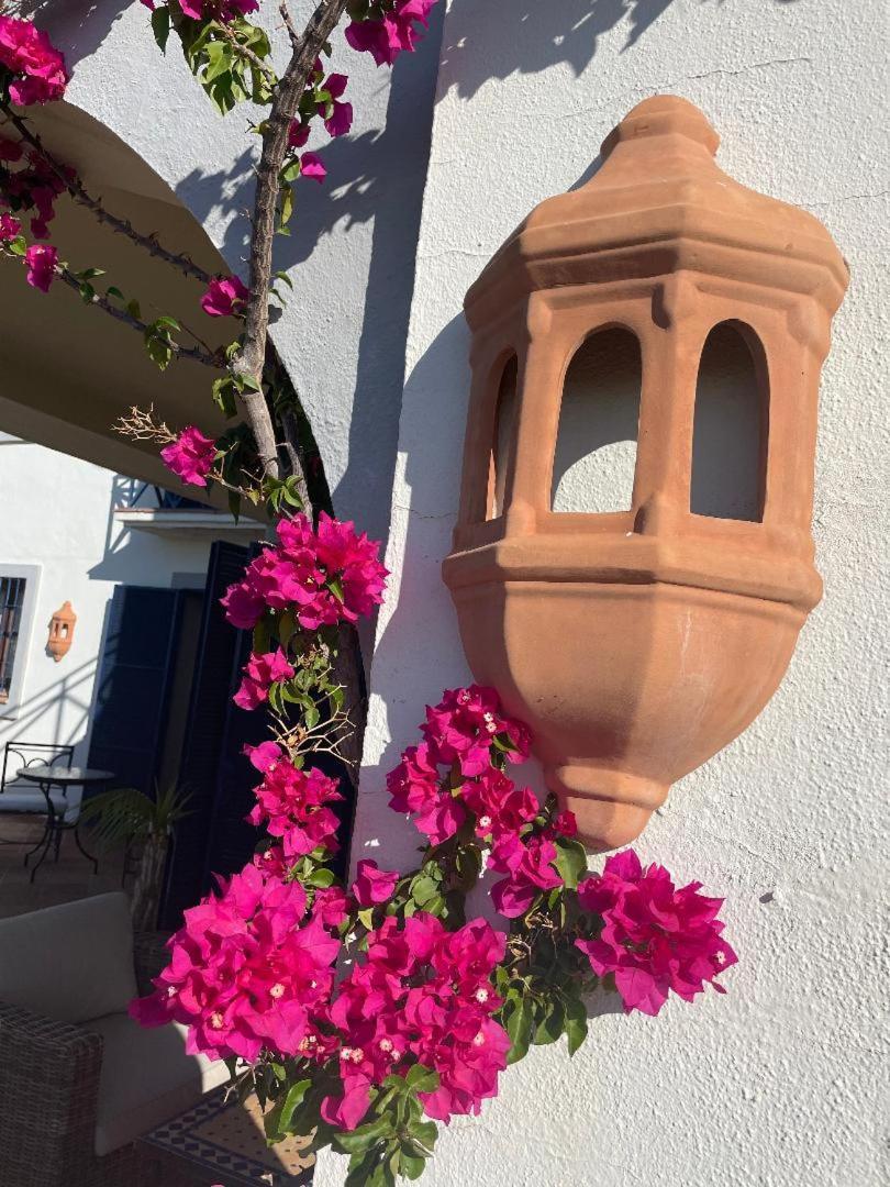 Bed & Breakfast Boutique Maravilla - Marbella *