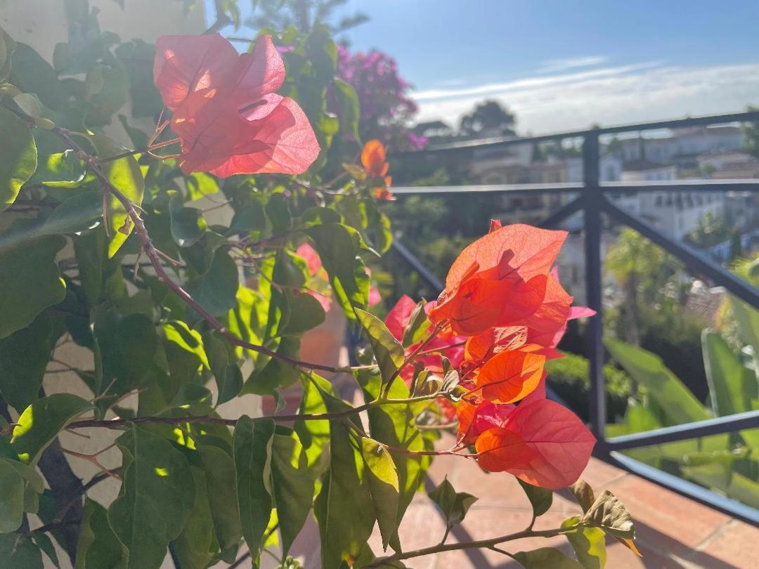 Bed & Breakfast Boutique Maravilla - Marbella *