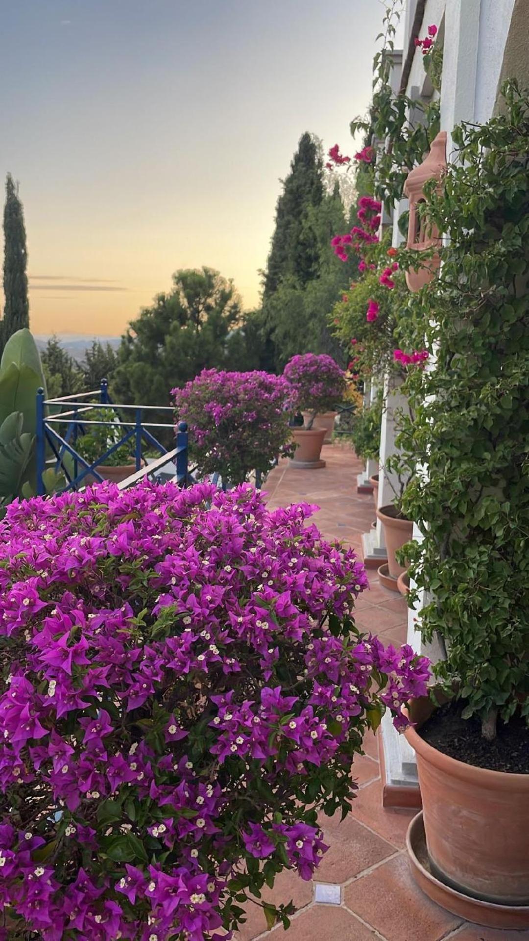 Boutique Maravilla - Marbella Benahavis